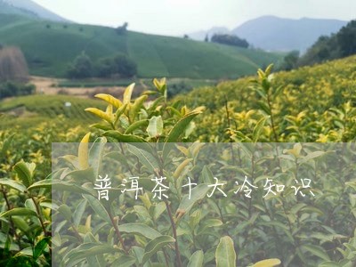 普洱茶十大冷知识/2023033194859