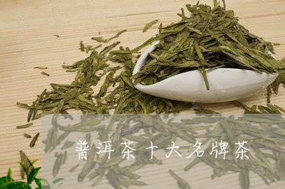 普洱茶十大名牌茶/2023031616160