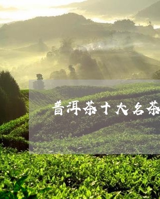 普洱茶十大名茶山/2023041390595