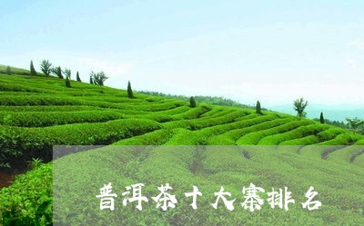 普洱茶十大寨排名/2023033059482