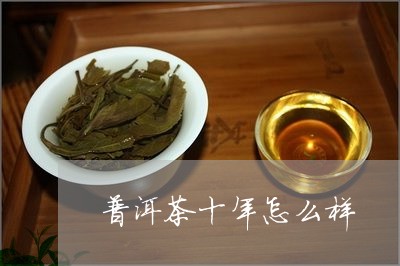 普洱茶十年怎么样/2023041335170