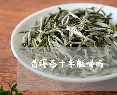 普洱茶十年能喝吗/2023033070492