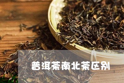 普洱茶南北茶区别/2023031781815