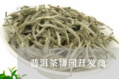 普洱茶博园开发商/2023033108251