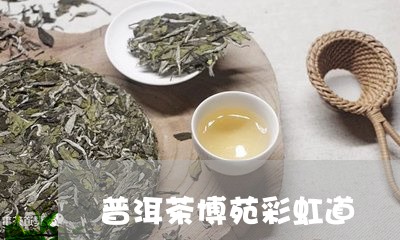 普洱茶博苑彩虹道/2023041356947