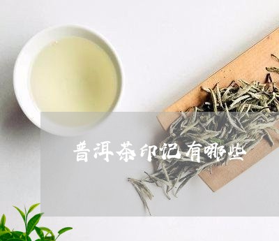 普洱茶印记有哪些/2023041076380