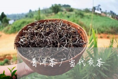 普洱茶厂当代贡茶/2023041024057