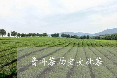 普洱茶历史文化茶/2023041114937