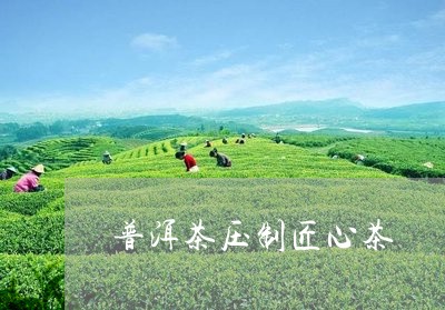 普洱茶压制匠心茶/2023041285250