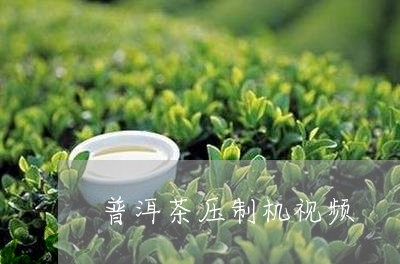 普洱茶压制机视频/2023041084714