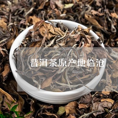 普洱茶原产地临沧/2023031628159