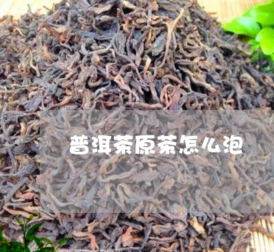 普洱茶原茶怎么泡/2023031687181