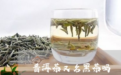 普洱茶又名黑茶吗/2023031637360