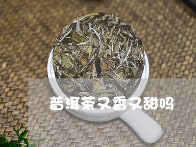 普洱茶又香又甜吗/2023033168394