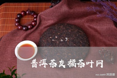 普洱茶友福茶叶网/2023033149474