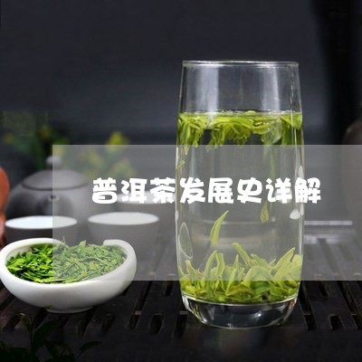 普洱茶发展史详解/2023040119704