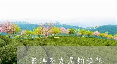 普洱茶发展新趋势/2023041084979