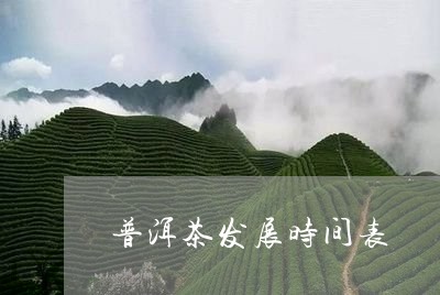 普洱茶发展时间表/2023041372837