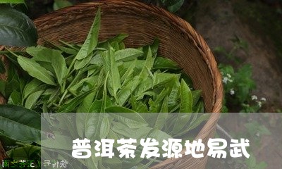 普洱茶发源地易武/2023041326059