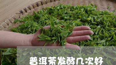 普洱茶发酵几次好/2023031669473