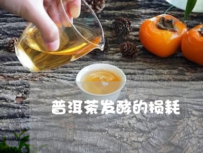 普洱茶发酵的损耗/2023041093845