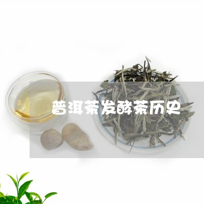 普洱茶发酵茶历史/2023041226268