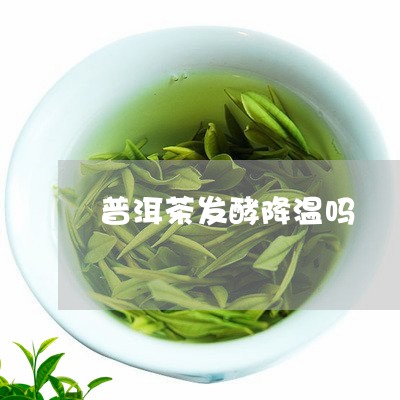 普洱茶发酵降温吗/2023031850401