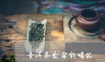 普洱茶发霉能喝么/2023040111794