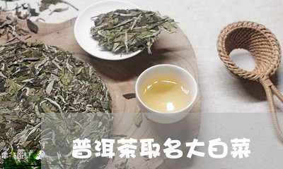 普洱茶取名大白菜/2023041103016