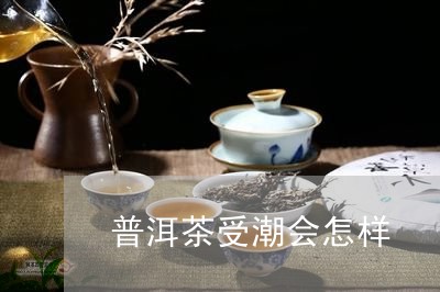 普洱茶受潮会怎样/2023031711693