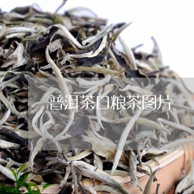 普洱茶口粮茶图片/2023031716360