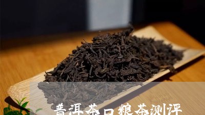 普洱茶口粮茶测评/2023041254726