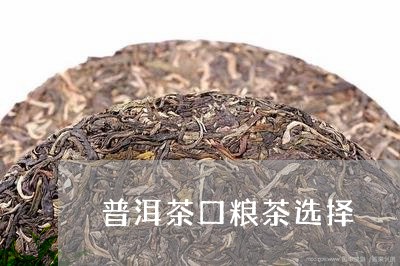 普洱茶口粮茶选择/2023031761705