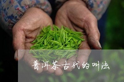 普洱茶古代的叫法/2023041213948