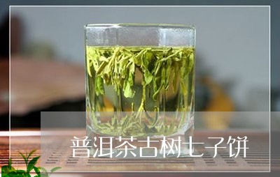 普洱茶古树七子饼/2023033182916