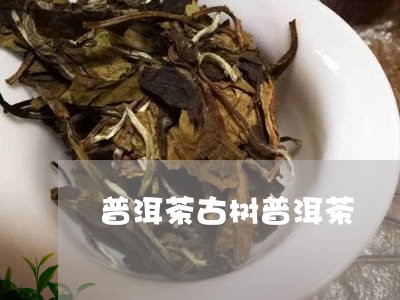 普洱茶古树普洱茶/2023031787060