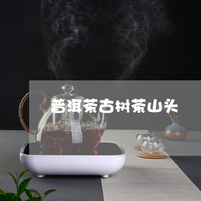 普洱茶古树茶山头/2023033173808