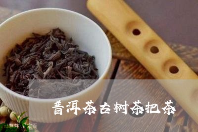 普洱茶古树茶把茶/2023041145060