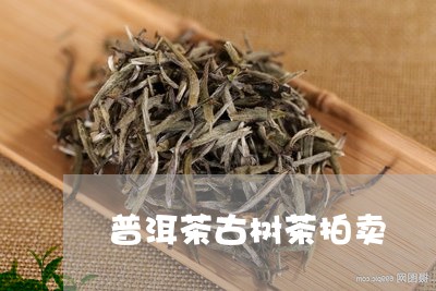 普洱茶古树茶拍卖/2023041172037