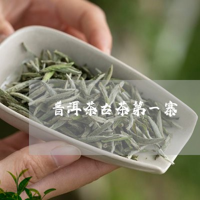 普洱茶古茶第一寨/2023041395141