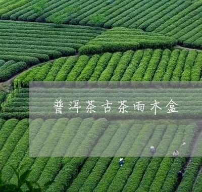 普洱茶古茶雨木盒/2023031636571