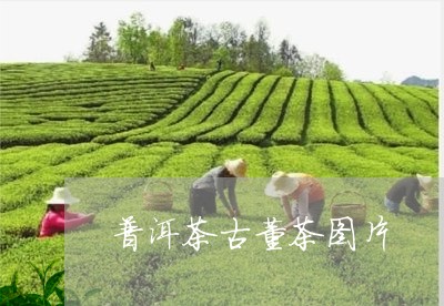 普洱茶古董茶图片/2023041259591