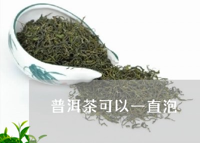 普洱茶可以一直泡/2023031729480