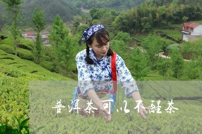 普洱茶可以不醒茶/2023041201614