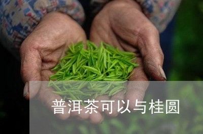 普洱茶可以与桂圆/2023040947613