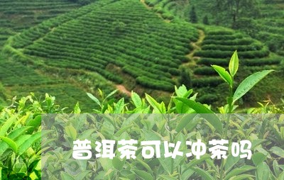 普洱茶可以冲茶吗/2023031673938