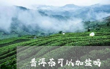 普洱茶可以加盐吗/2023031727595