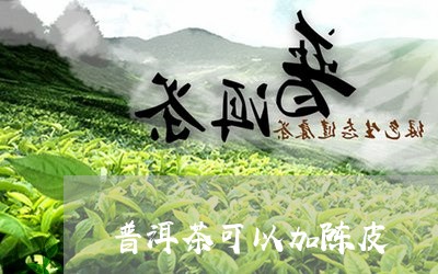 普洱茶可以加陈皮/2023041059693