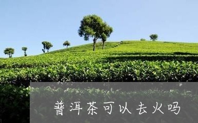 普洱茶可以去火吗/2023031703834