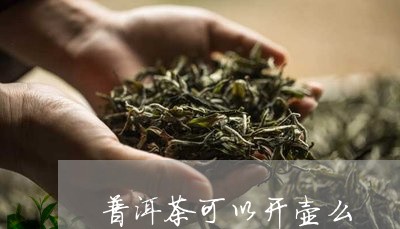 普洱茶可以开壶么/2023040111825